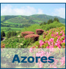 The Azores