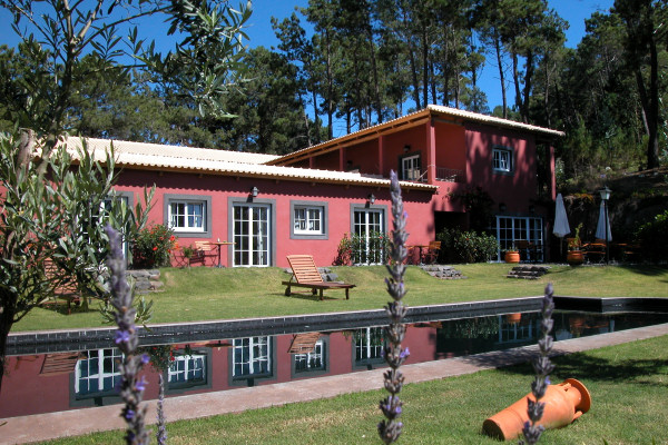 Atrio stands surrounded by woodland