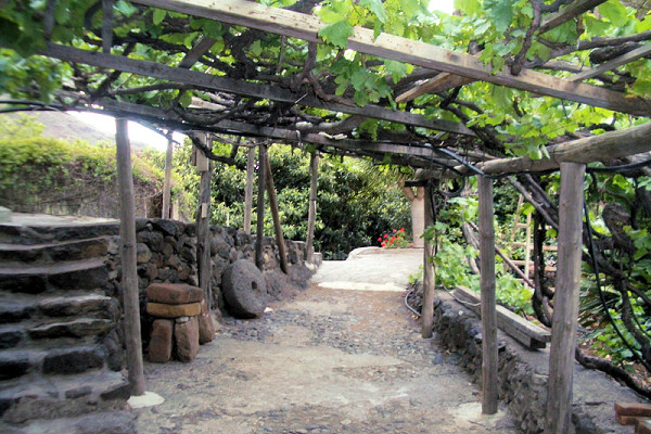 The grounds are still used for agriculture including wine cultivation