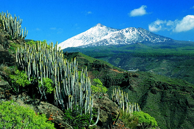 Mount Teide in winter