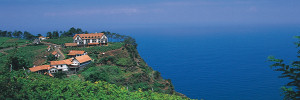Quinta do Furao, Madeira