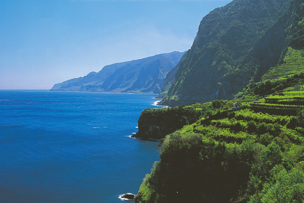 Steep agricultural terraces hugging the coast
