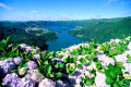 The Azores