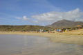 Papagayo