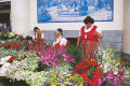 Flower market in Funchal