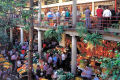 Funchal's covered market