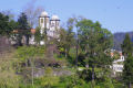 Monte
