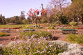 Funchal's municipal gardens