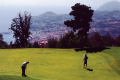 Palheiro golf course