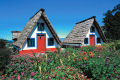 Traditional Santana Houses