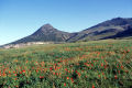 The hills near Camacha in spring