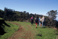 Walking in Madeira