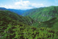 Rabacal Valley