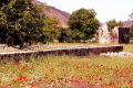 Kaya Valley in spring time