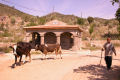 Local life