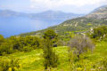 Faralya countryside