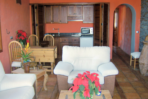 Comfortably furnished living room with open-plan kitchen