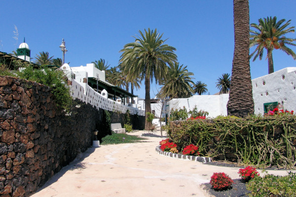 The grounds are filled with flowers and palm trees
