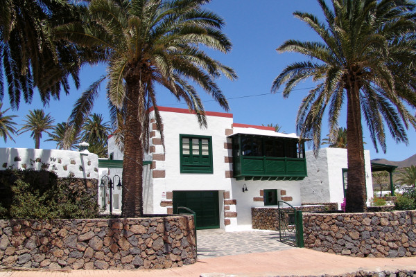 The villa stands amidst palm trees
