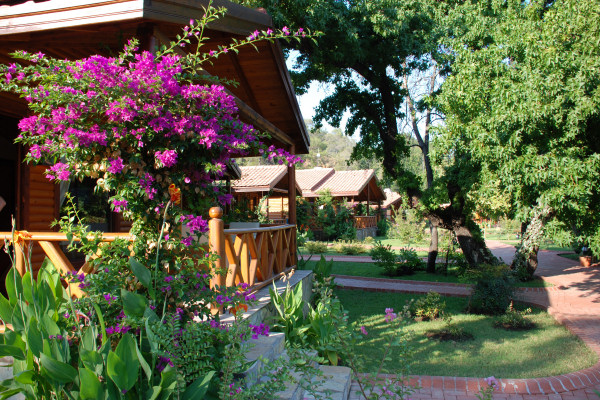 The bungalows stand in pretty gardens