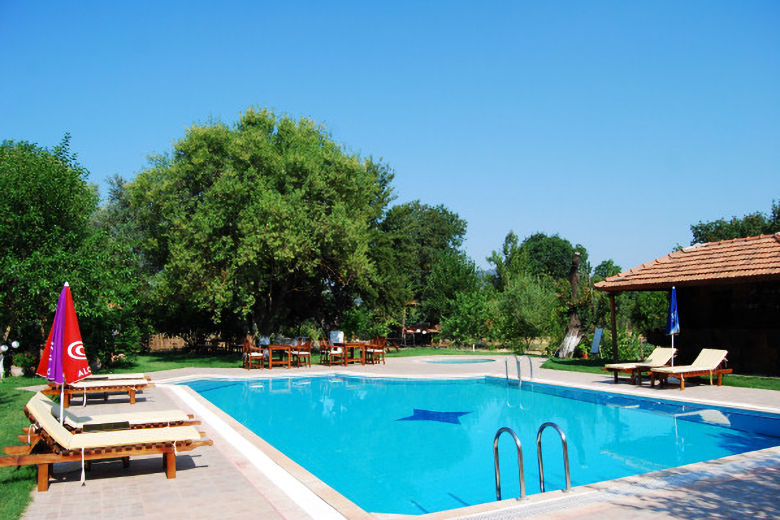 Doga's swimming pool