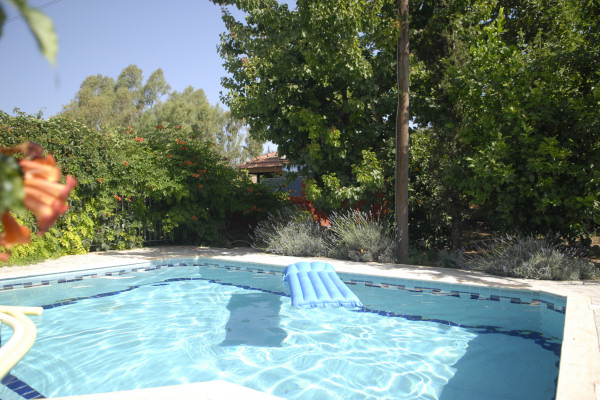The private pool at Cactus Cottage