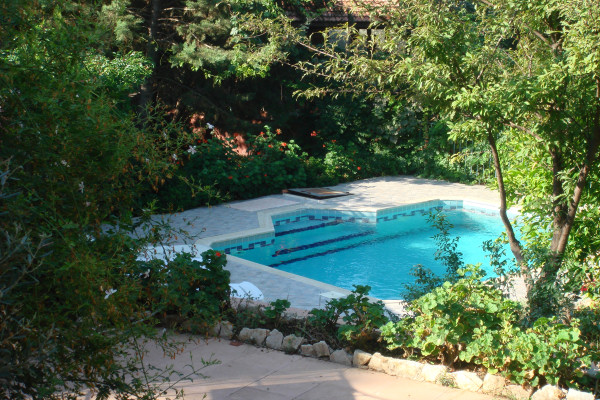 The cottage's pool