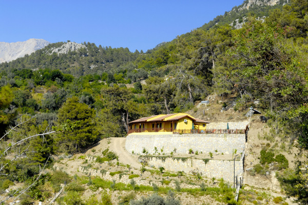 Selen Cottages