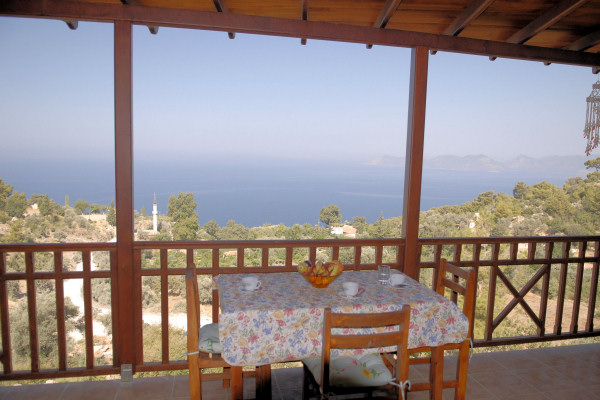 View from the shaded terrace