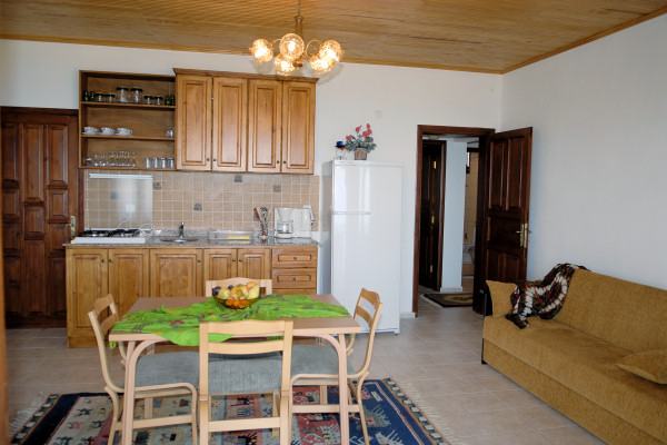 Open-plan kitchen/dining area