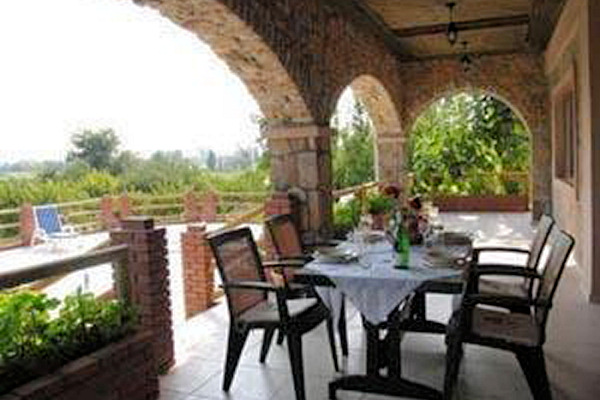 The lovely shaded terrace