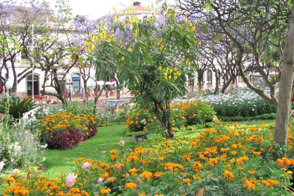 The nearby municipal gardens