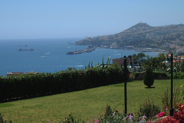 View from the gardens