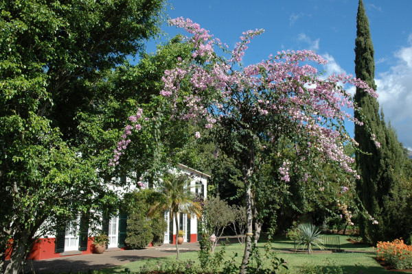 The delightful gardens