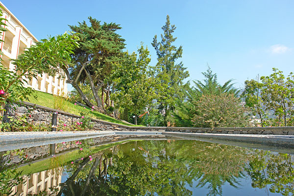 The Quinta's pretty gardens