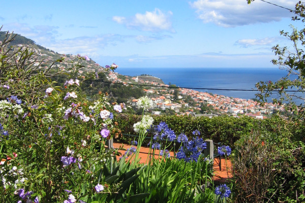 Views from the garden
