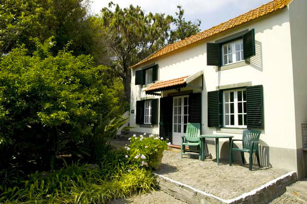 The Doll's House
