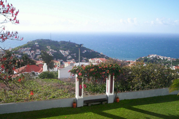 View from an upstairs window