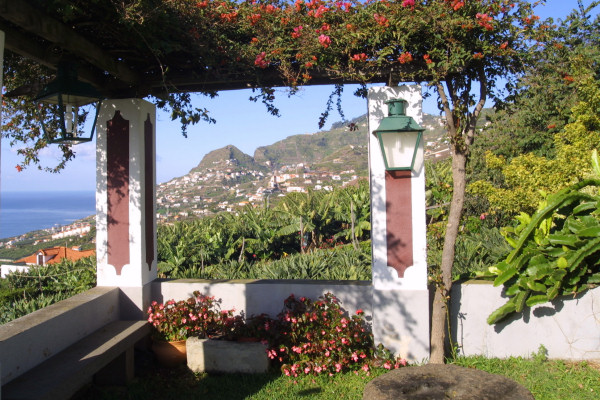 Lovely views along the coast from the gardens