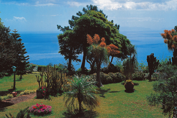 The pretty clifftop gardens