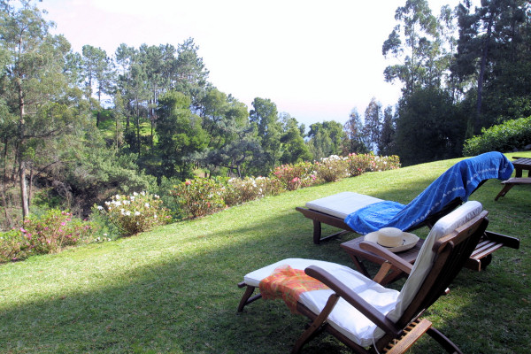 Relaxing in the grounds