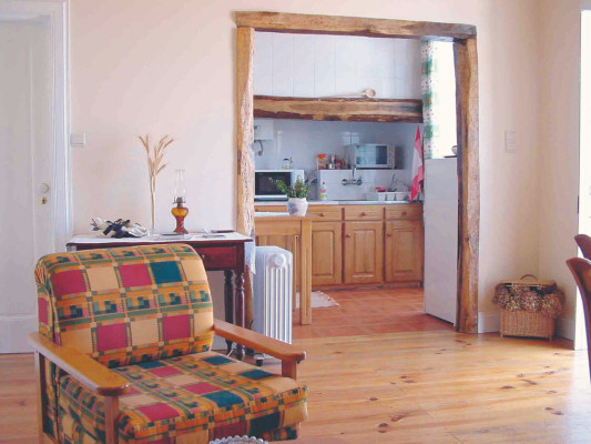 Living room and kitchen