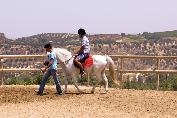 The nearby horseriding stables