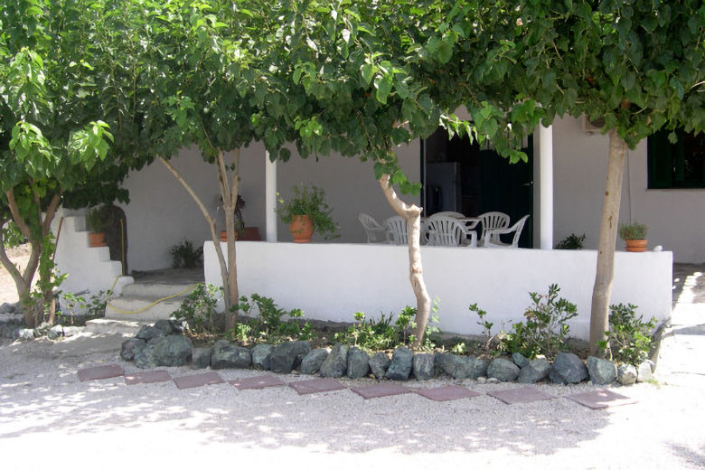 Shady terrace