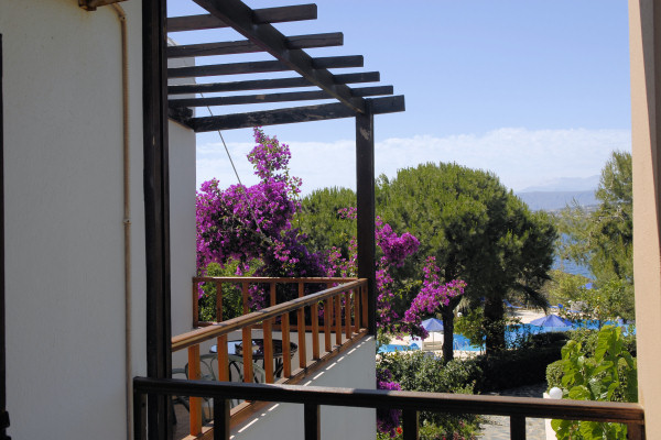 View from a balcony