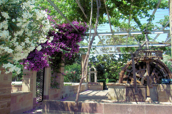 Flower-filled gardens