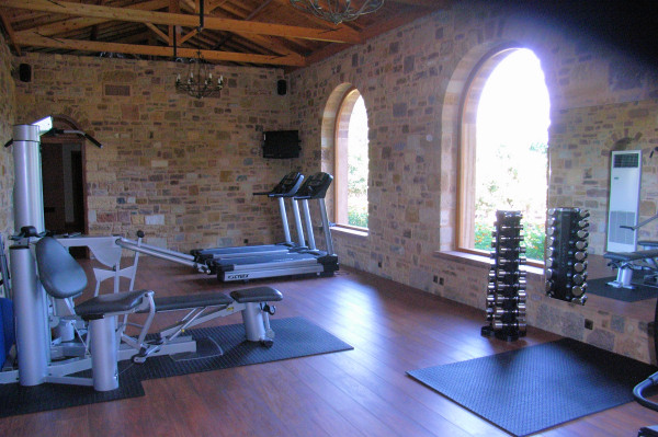 The gym