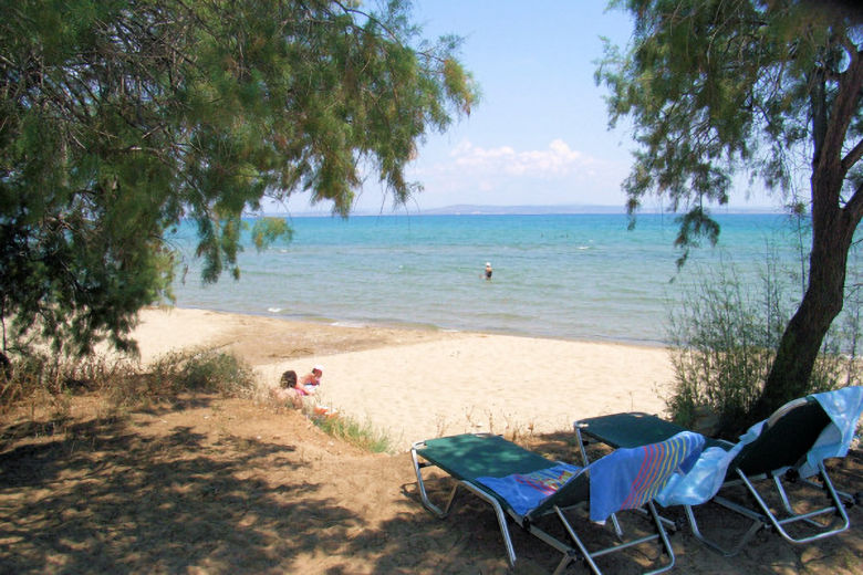 Anatoli's garden leading onto the beach
