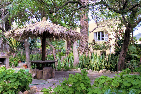 The cottage stands in mature gardens