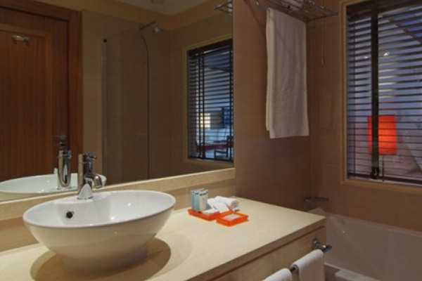 Stylish bathrooms